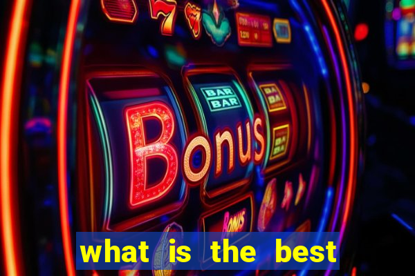 what is the best bingo site