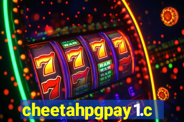 cheetahpgpay1.com