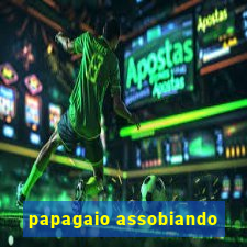 papagaio assobiando