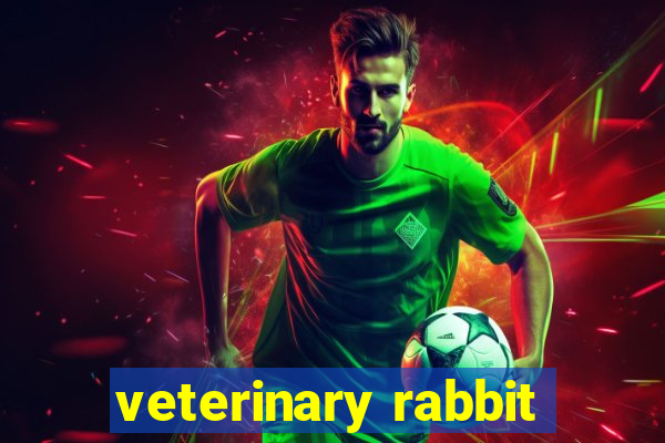 veterinary rabbit