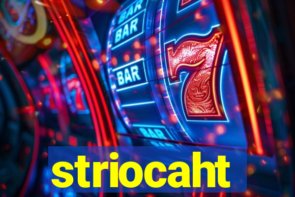 striocaht