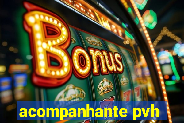 acompanhante pvh