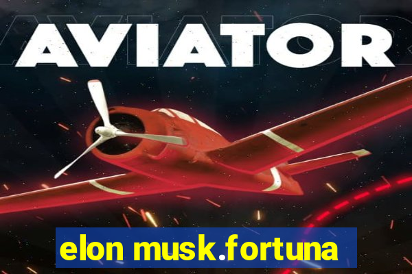 elon musk.fortuna