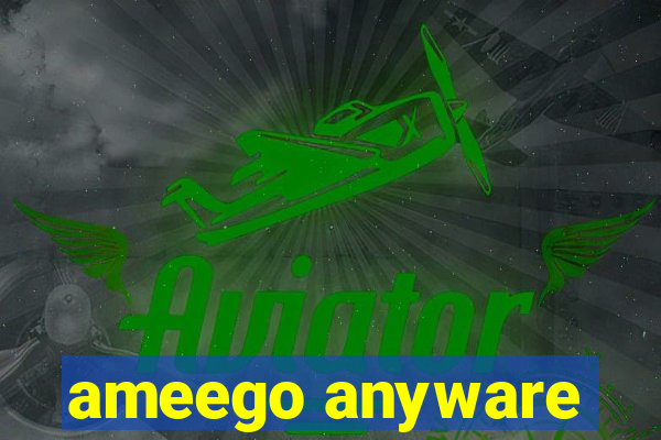 ameego anyware