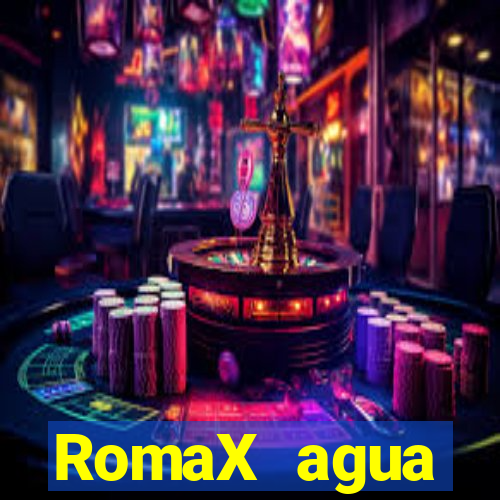 RomaX agua sanitaria fispq agua sanitaria romax