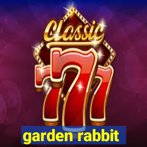 garden rabbit