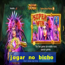 jogar no bicho online pernambuco