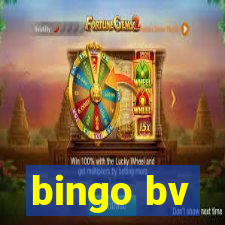 bingo bv