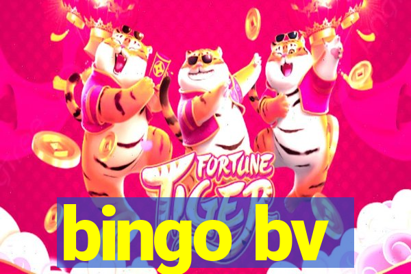 bingo bv