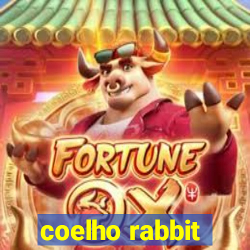 coelho rabbit