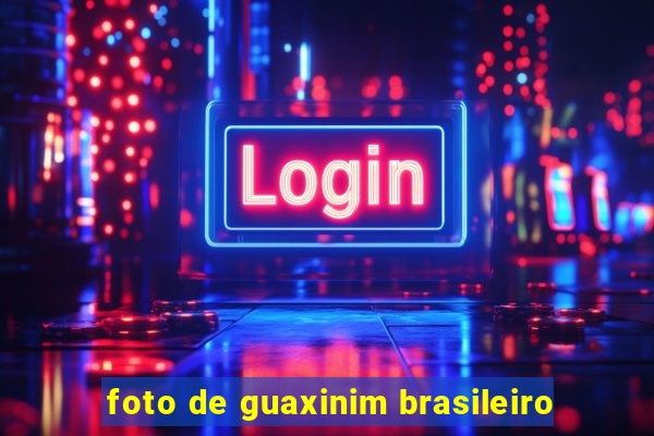 foto de guaxinim brasileiro