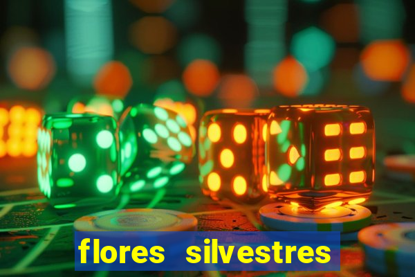 flores silvestres desbravadores desbravadores 25 flores silvestres e seus nomes