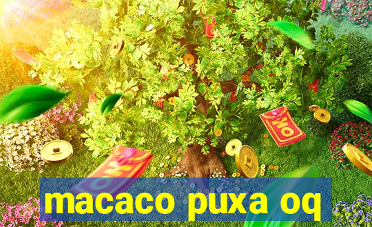 macaco puxa oq