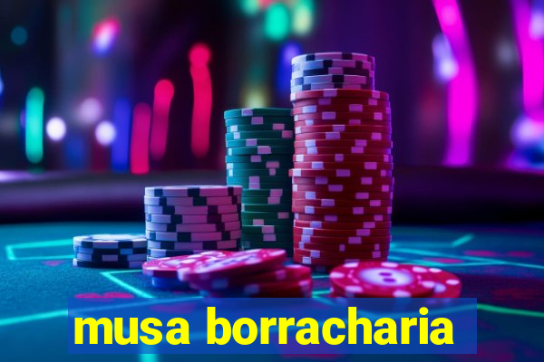 musa borracharia