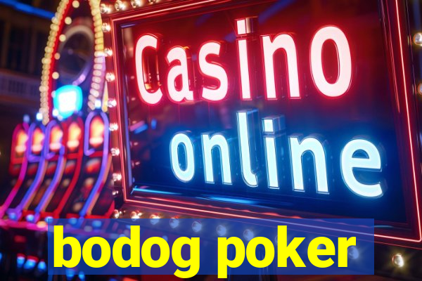 bodog poker