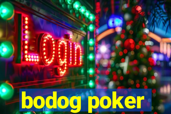 bodog poker