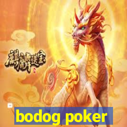 bodog poker