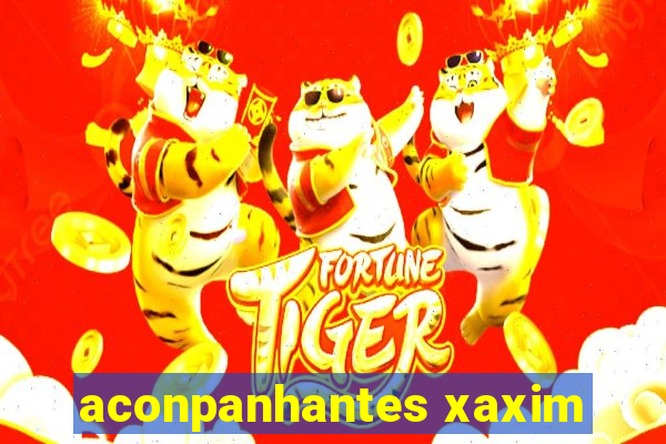 aconpanhantes xaxim