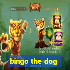 bingo the dog