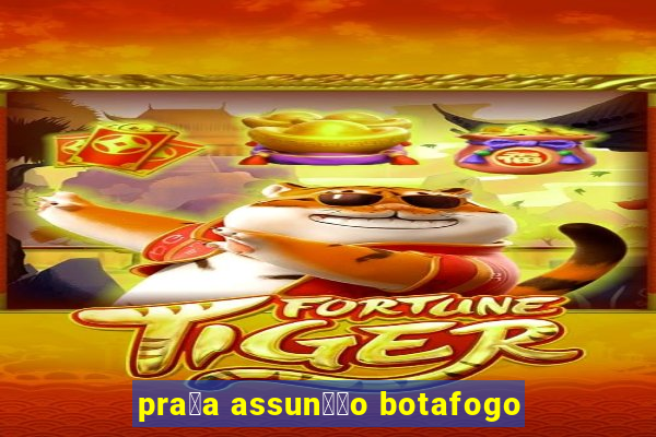 pra莽a assun莽茫o botafogo