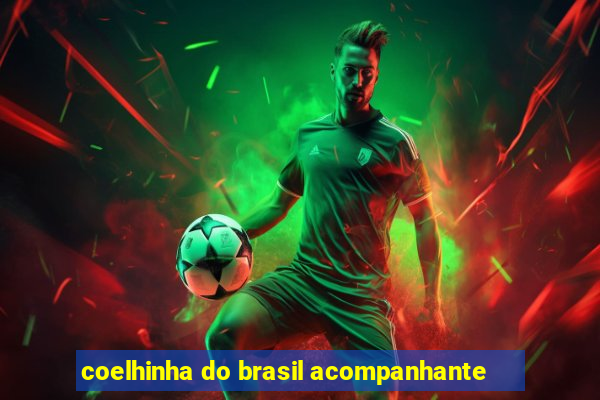 coelhinha do brasil acompanhante