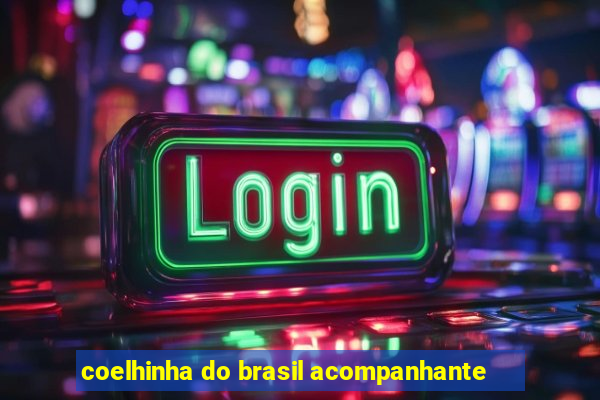 coelhinha do brasil acompanhante