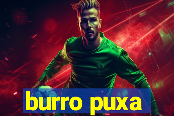 burro puxa