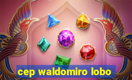 cep waldomiro lobo