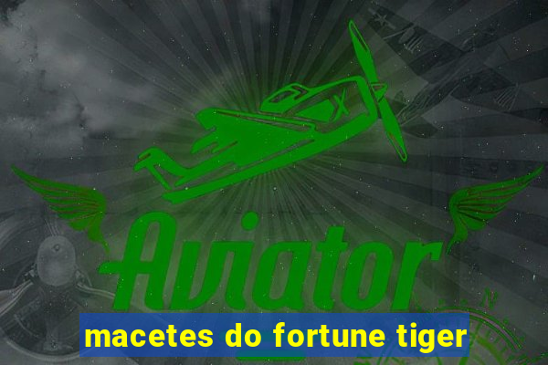 macetes do fortune tiger