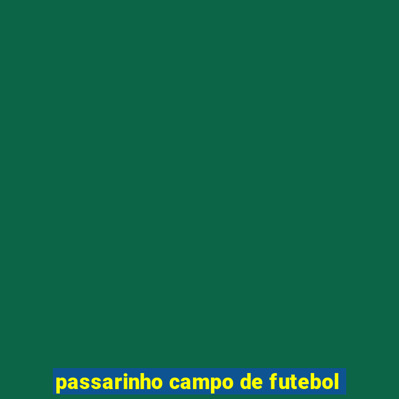 passarinho campo de futebol