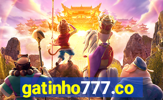 gatinho777.co