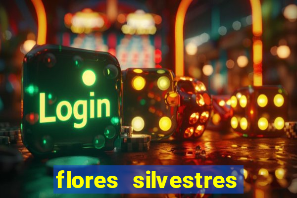 flores silvestres desbravadores desbravadores 25