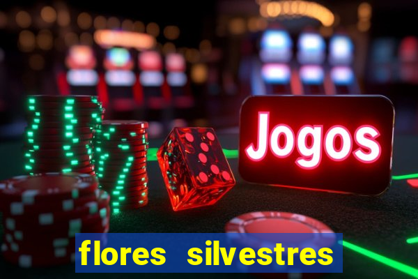 flores silvestres desbravadores desbravadores 25