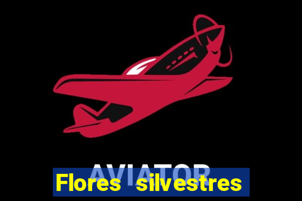 Flores silvestres brasileiras brasileiras flores silvestres nomes e imagens