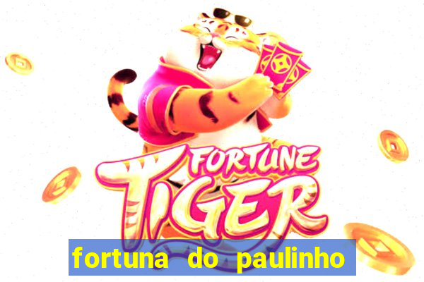 fortuna do paulinho do roupa nova