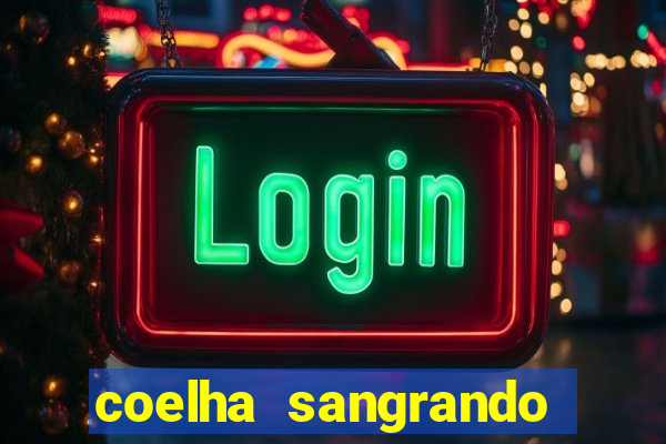 coelha sangrando pela parte intima