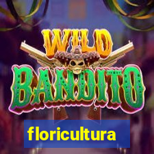 floricultura cemitério vila nova cachoeirinha