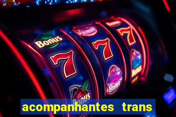 acompanhantes trans baixada fluminense