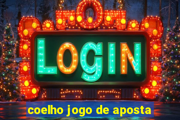 coelho jogo de aposta