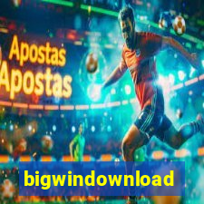 bigwindownload