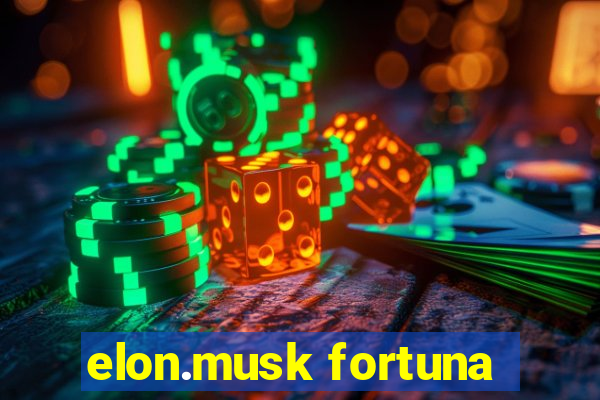 elon.musk fortuna