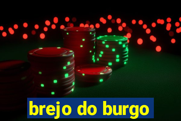 brejo do burgo