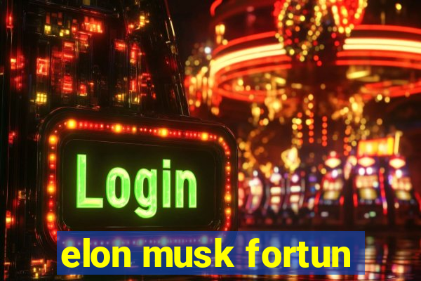 elon musk fortun