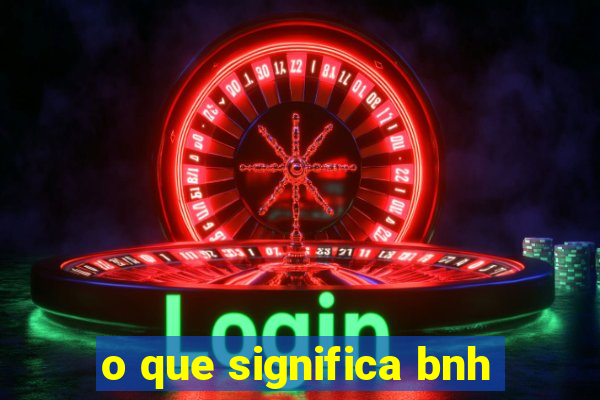 o que significa bnh