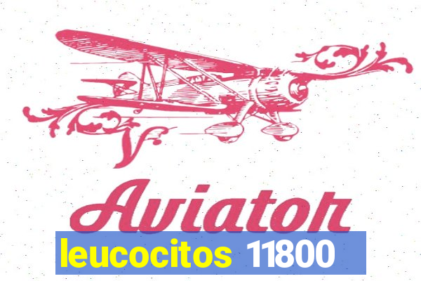 leucocitos 11800