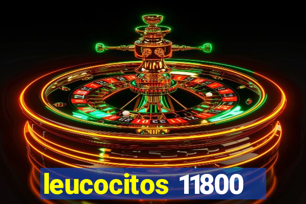 leucocitos 11800