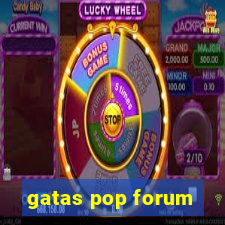 gatas pop forum