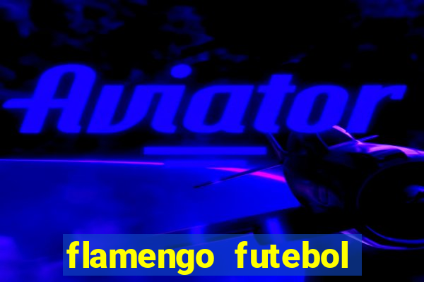 flamengo futebol play hd