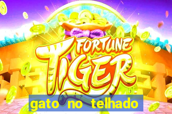 gato no telhado significado espiritual