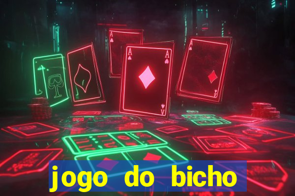 jogo do bicho aposta certa